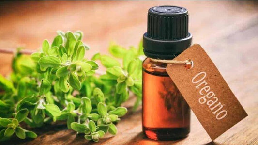 Ριγανέλαιο, ένα φυσικό αντιμικροβιακό!
