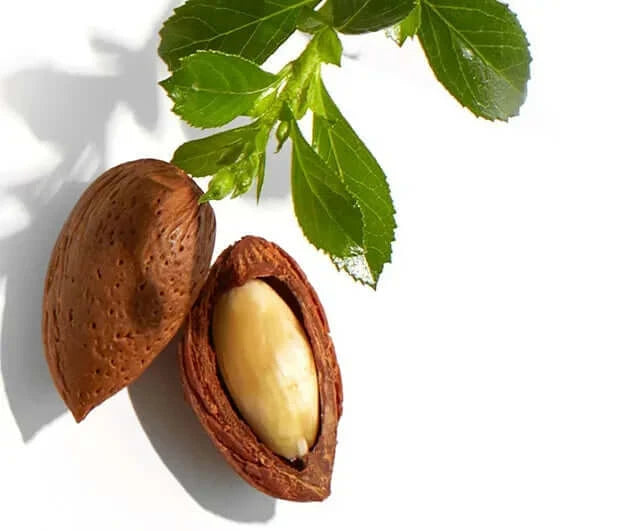 Το Βιολογικό Έλαιο Jojoba της 7elements (Simmondsia Chinensis Seed Oil) παράγεται με την μέθοδο της ψυχρής έκθλιψης. Η υψηλή του περιεκτικότητα σε υποπροϊόντα λίπους και βιταμίνη Ε προσφέρει προστασία και απαλότητα.