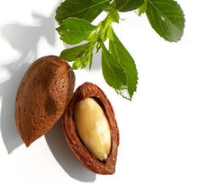 Το Βιολογικό Έλαιο Jojoba της 7elements (Simmondsia Chinensis Seed Oil) παράγεται με την μέθοδο της ψυχρής έκθλιψης. Η υψηλή του περιεκτικότητα σε υποπροϊόντα λίπους και βιταμίνη Ε προσφέρει προστασία και απαλότητα.