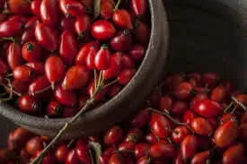 Βιολογικό Έλαιο Άγριου Τριαντάφυλλου 7elements 50ml