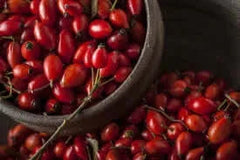 Βιολογικό Έλαιο Άγριου Τριαντάφυλλου 7elements 50ml