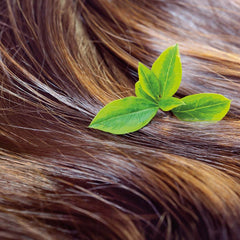 Ayluna 100% Βιολογική Βαφή Μαλλιών Coffee Brown Nr80