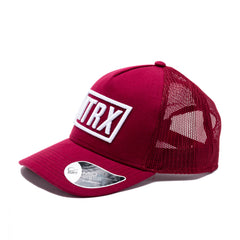 NTRX Signature Series Caps - Phoenix Anthrax Machines