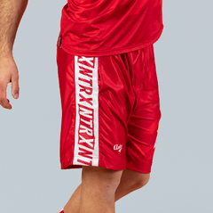 Stormfur Beast Mode Vision Hybrid Shorts Anthrax Mashines