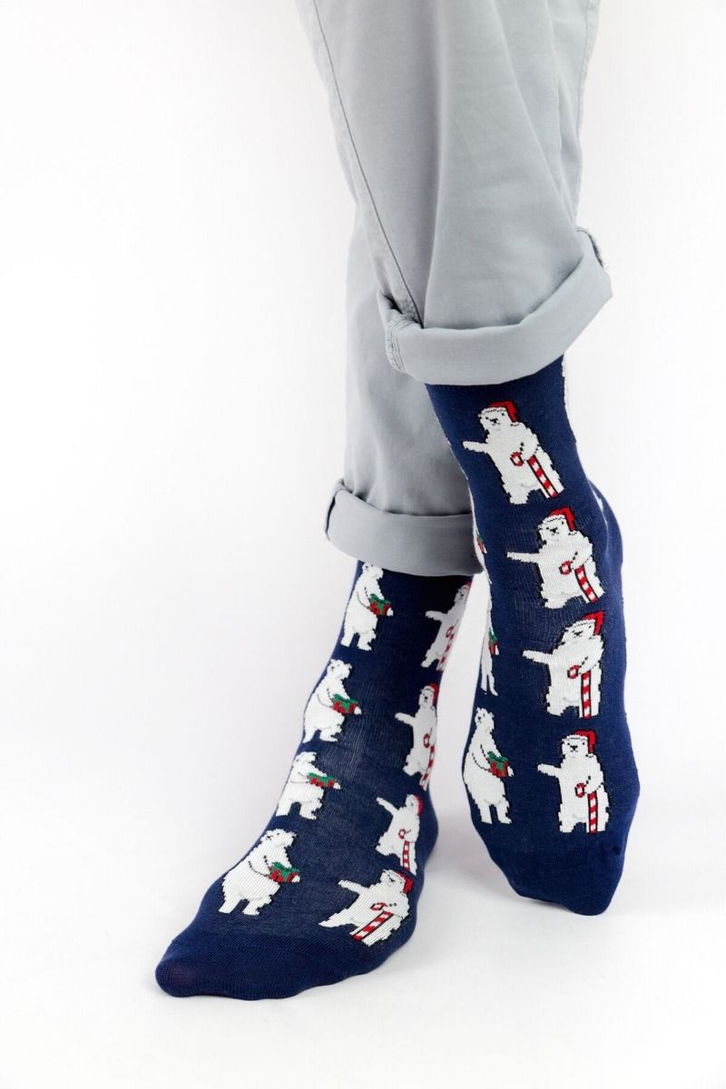 Ανδρικές Fashion Κάλτσες "Crazy Socks" POLAR BEAR