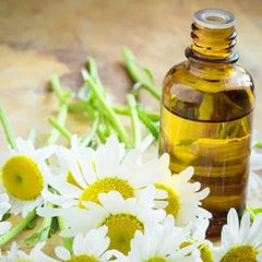 chamomile_oil_madfactory.gr